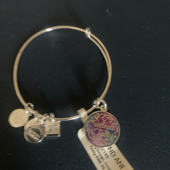 Alex and Ani NEW with tags silver bracelet - Picture 2 of 7